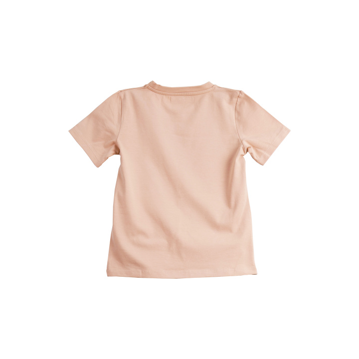 t-shirt__miami_psdtras